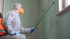 Mold Remediation for Vacation Homes in Waldo, AR