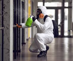 Why You Should Choose Our Mold Remediation Services in Waldo, AR